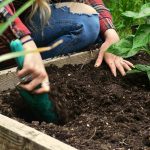 Beginner raised garden bed in a small backyard