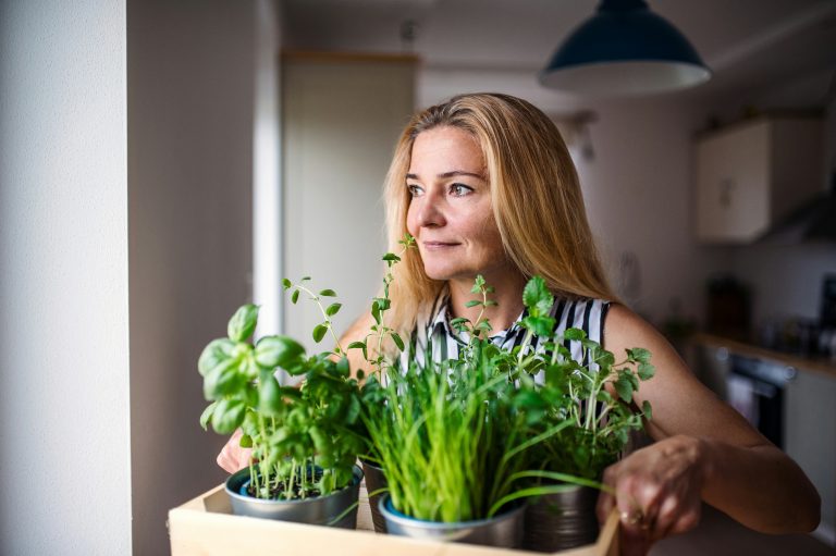 Growing microgreens