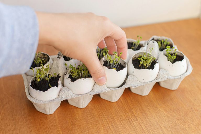 apartment composting
