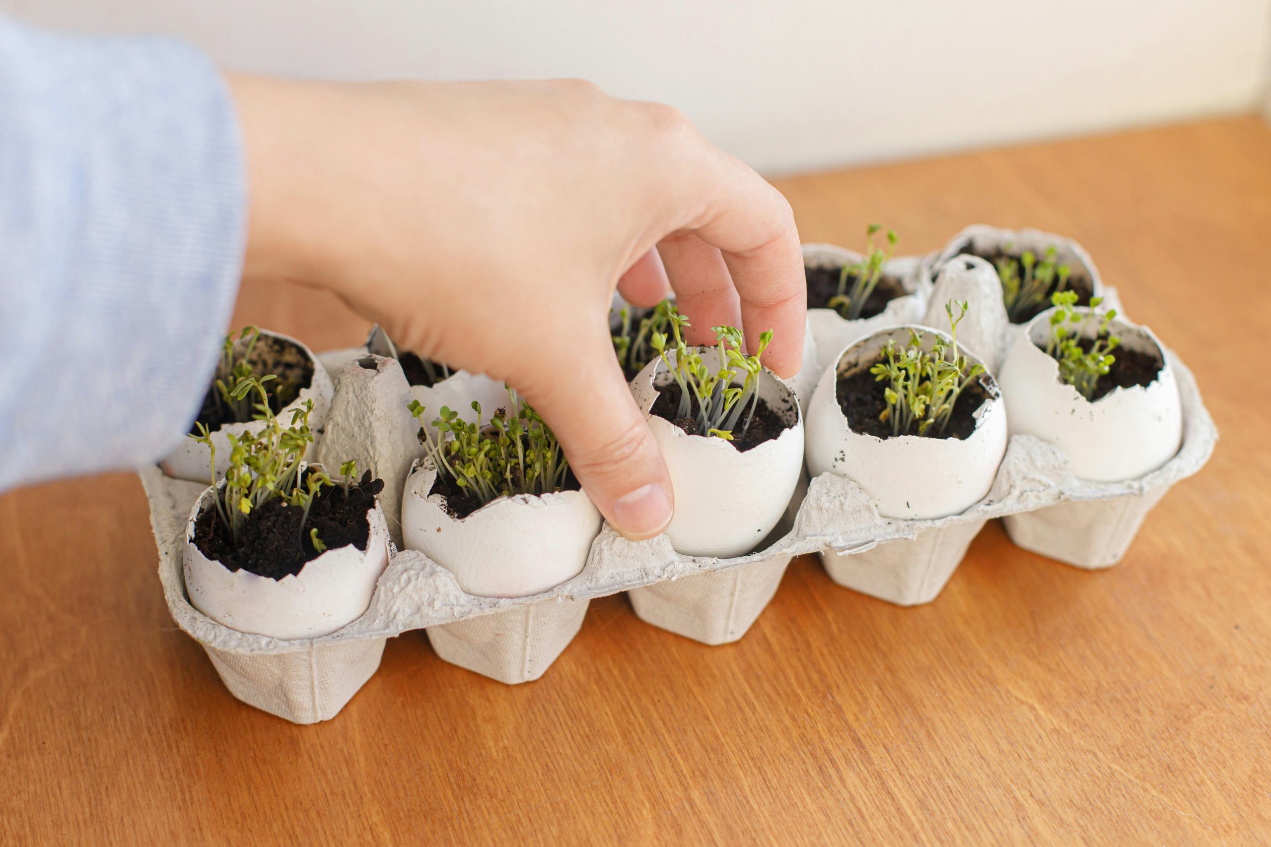 apartment composting