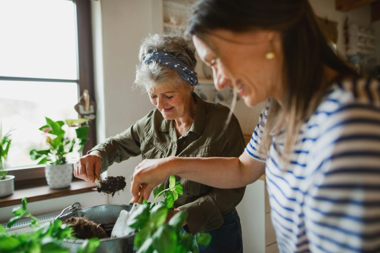 Urban Homesteading for Beginners: The Complete Guide for Renters and Small Spaces