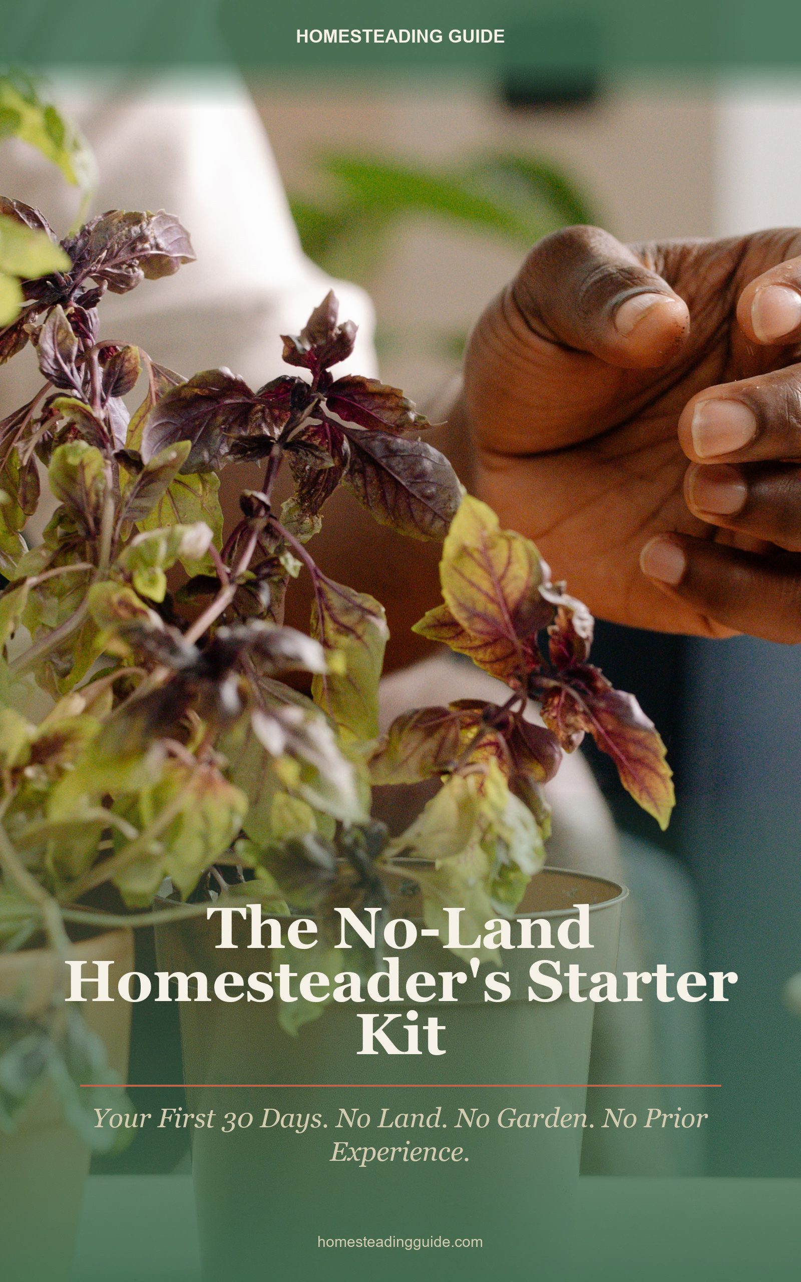 The No-Land Homesteader's Starter Kit cover